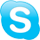 Skype call
