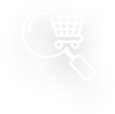 E-commerce SEO